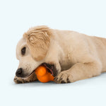 Dog Chew Toy - Tux Thumbnail