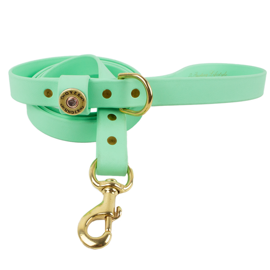 1" x 5ft Mudproof Dog Leash - Mint Green