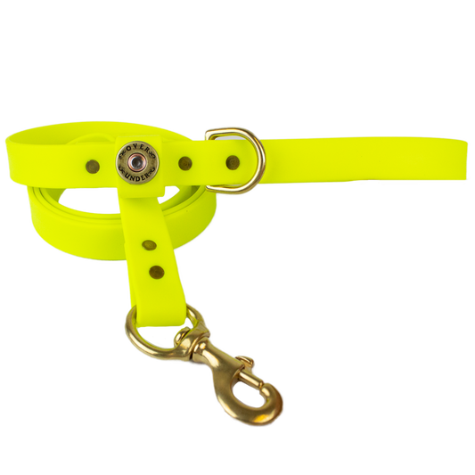 1" x 5ft Mudproof Dog Leash - Yellow