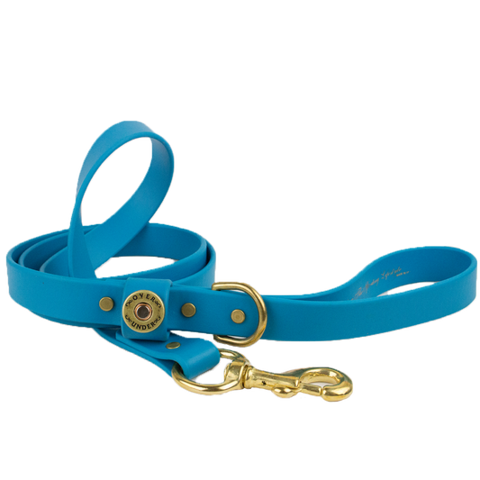1" x 5ft Mudproof Dog Leash - Aqua