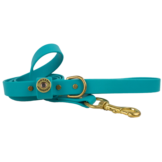 1" x 5ft Mudproof Dog Leash - Teal