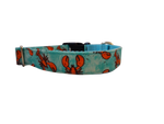 Ribbon Dog Collar – Aqua Lobster Thumbnail