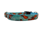 Ribbon Dog Collar – Aqua Lobster Thumbnail
