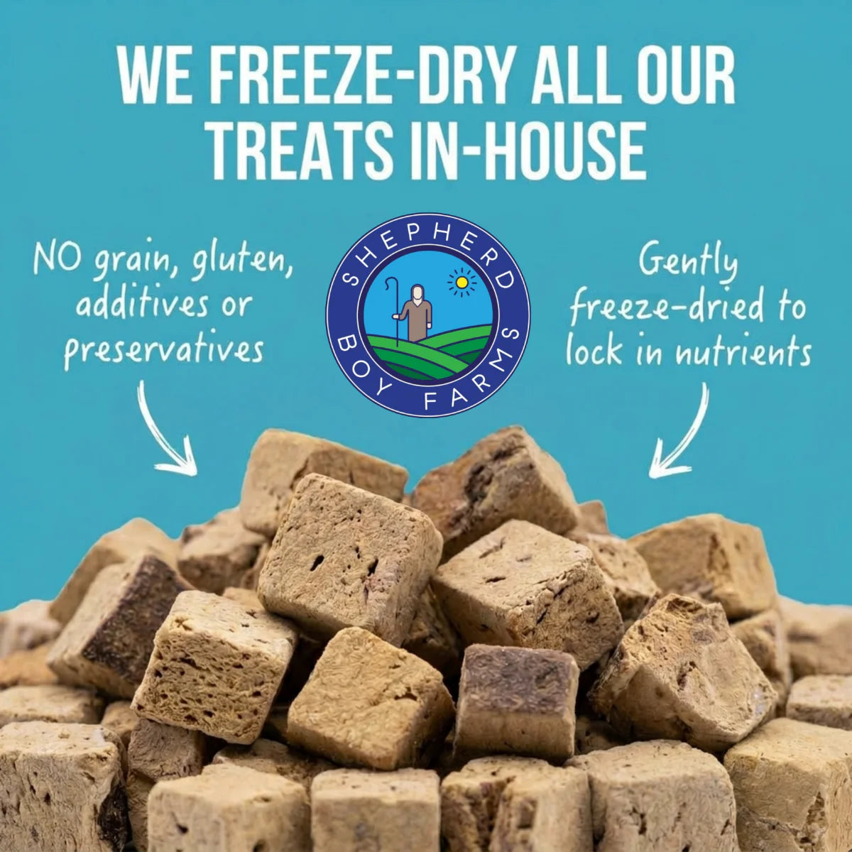 Freeze Dried Treats - Lobster & Coconut