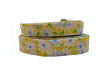 1” x 5ft  Ribbon Dog Leash – Daisies, Yellow Thumbnail