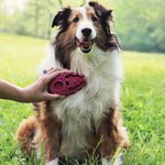 Zoom Groom Dog Curry Brush Thumbnail