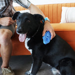 Zoom Groom Dog Curry Brush Thumbnail