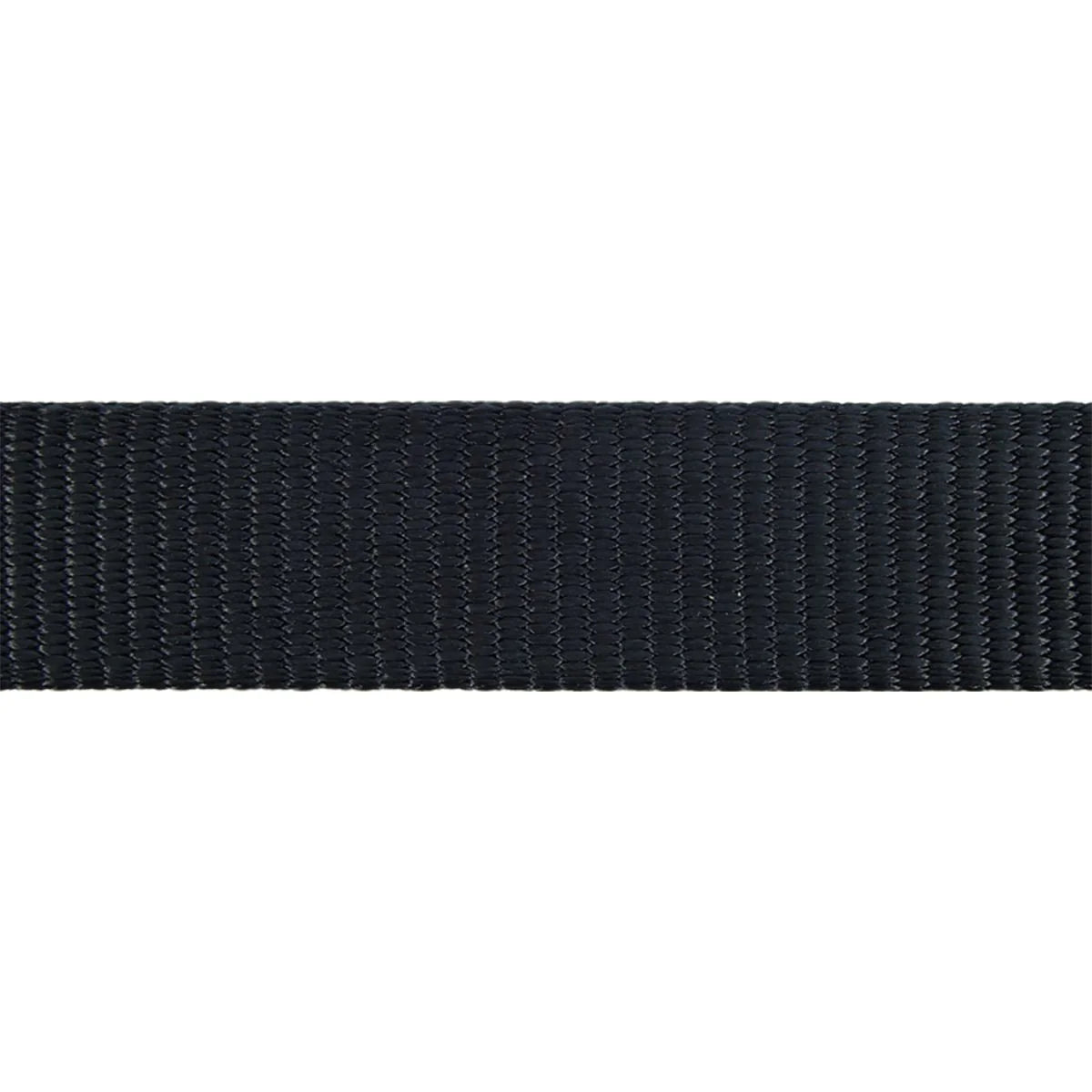 Cat Harness w/ Lead