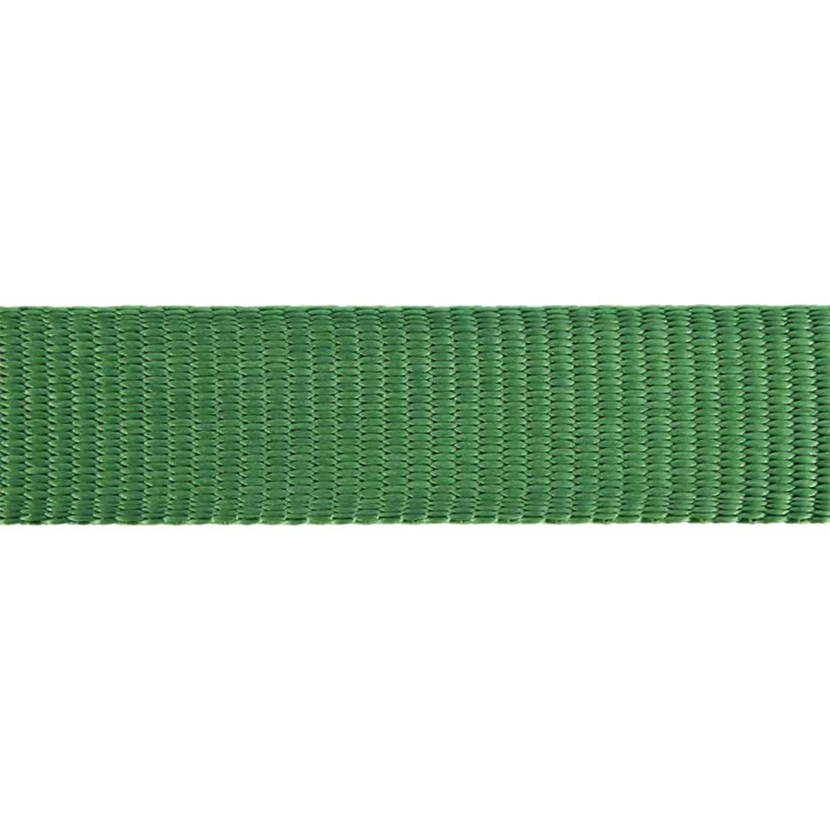 Cat Harness w/ Lead