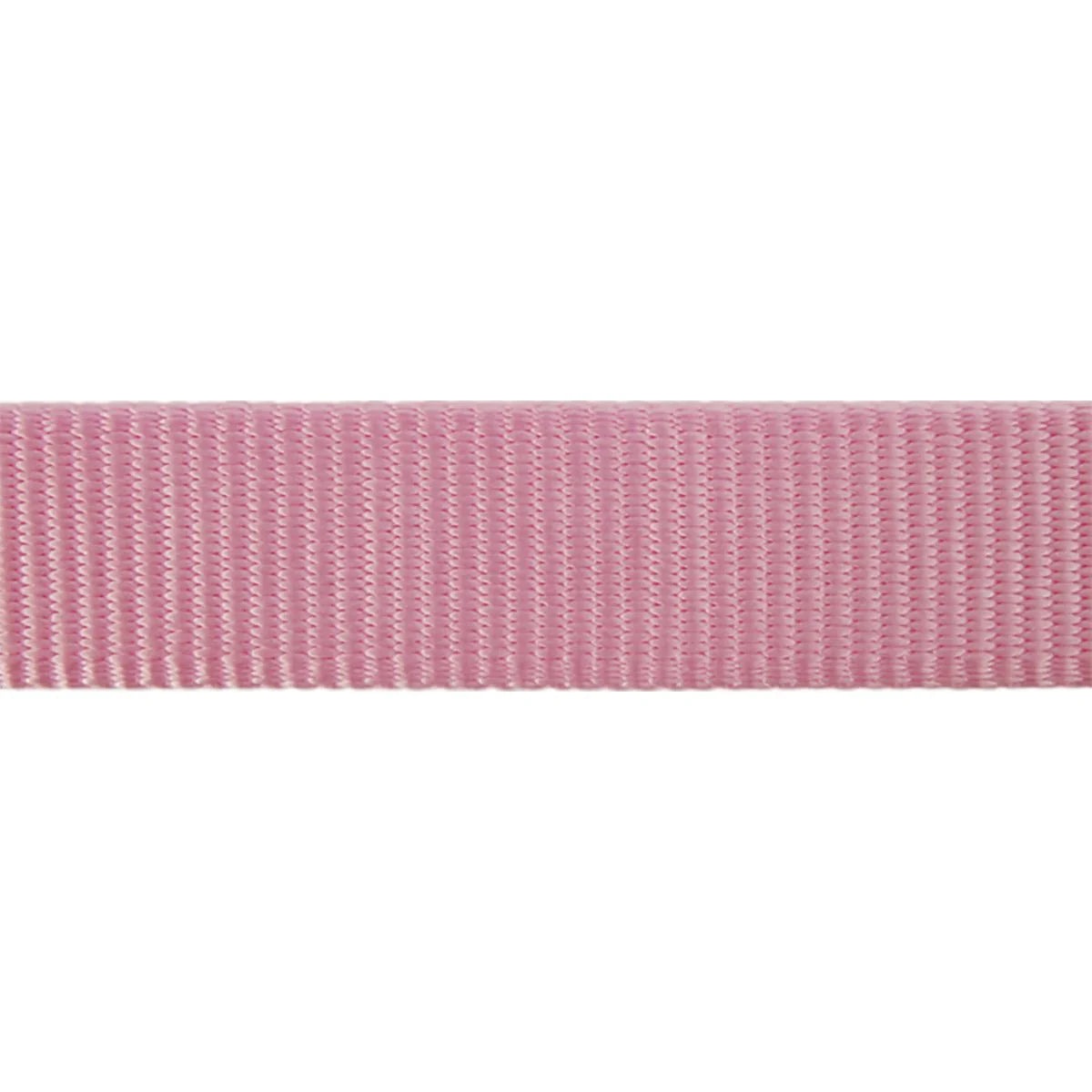 Cat Harness w/ Lead