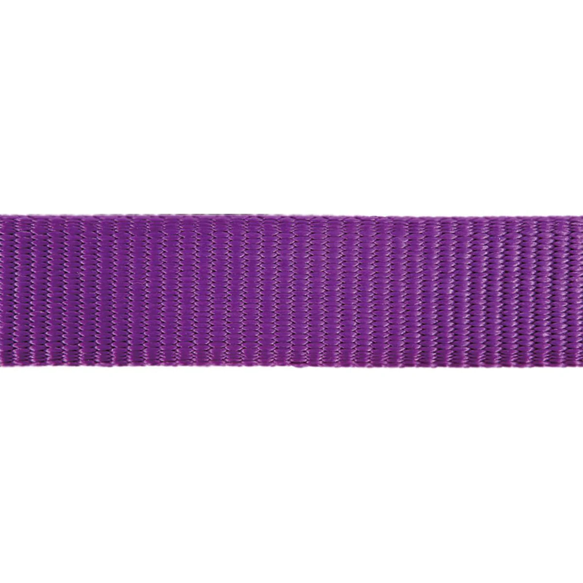 Cat Harness w/ Lead
