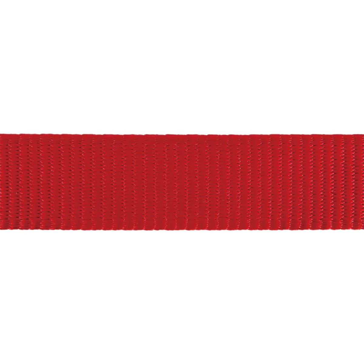 Cat Harness w/ Lead