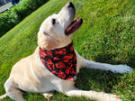 Reversible Dog Bandana - Lobster on Black Thumbnail