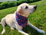 Reversible Dog Bandana - Lobster & Rope on Dark Blue Thumbnail