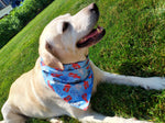 Reversible Dog Bandana - Multi Lobster / Blue Thumbnail