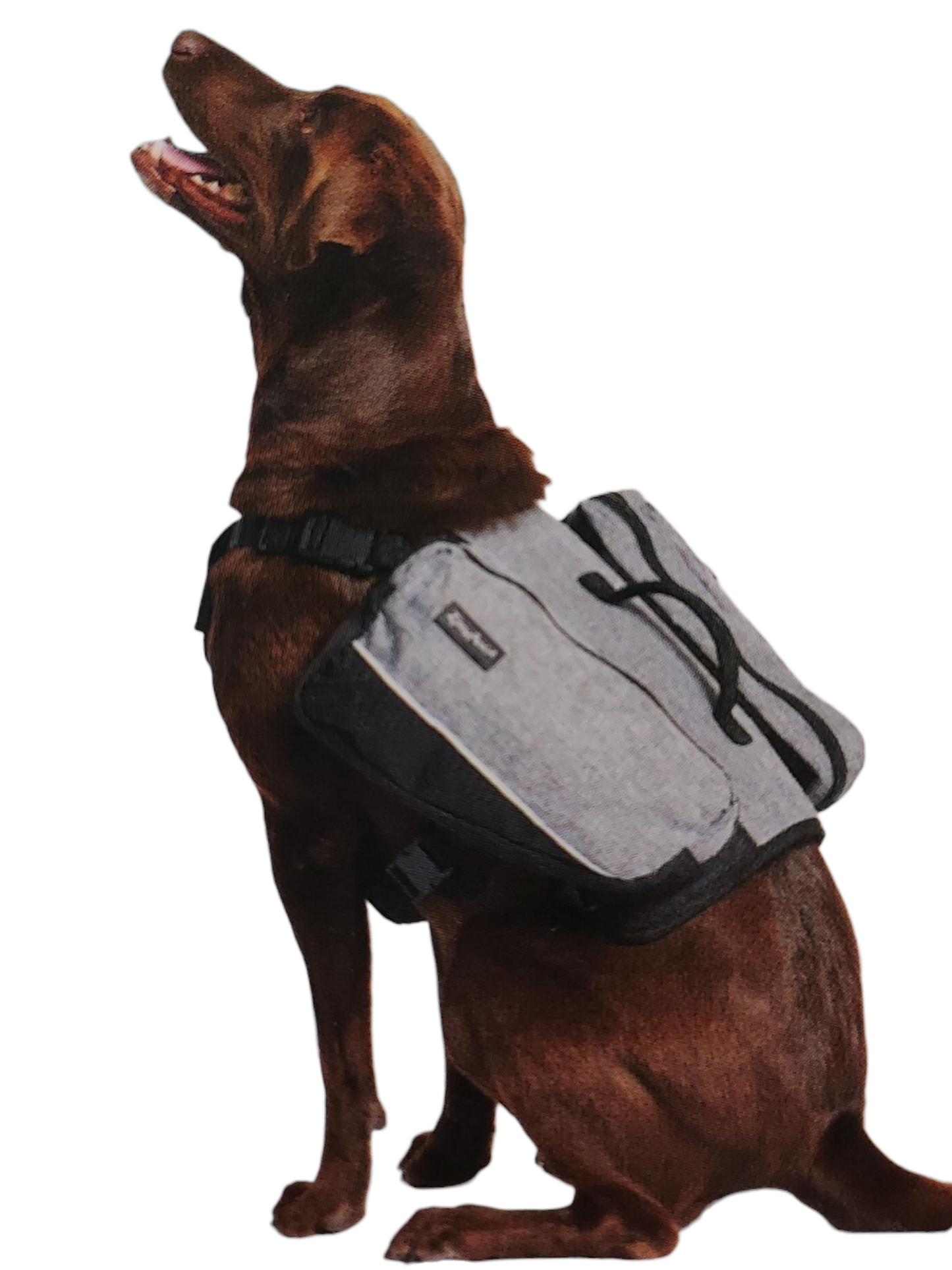 Dog Backpack – Grey