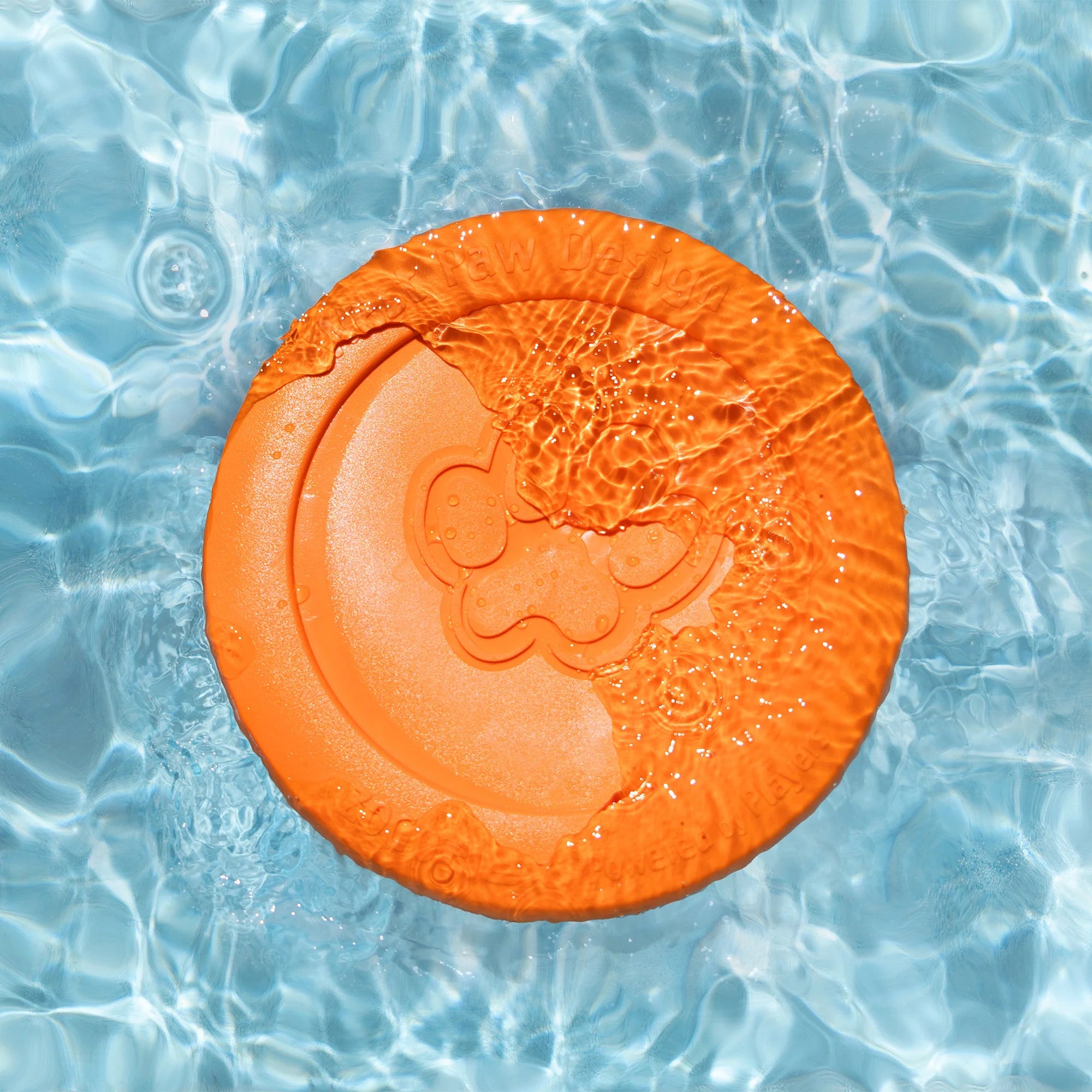 Dog Fetch Toy - Zisc Flying Disc
