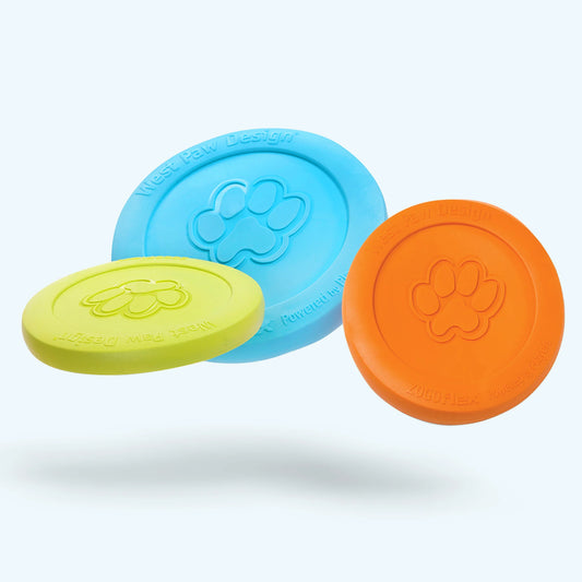 Dog Fetch Toy - Zisc Flying Disc