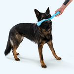 West Paw Dog Chew Toy - Zwig Thumbnail