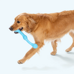 West Paw Dog Chew Toy - Zwig Thumbnail