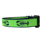 lime green dog collar with navy blue lobsters on white background. Thumbnail