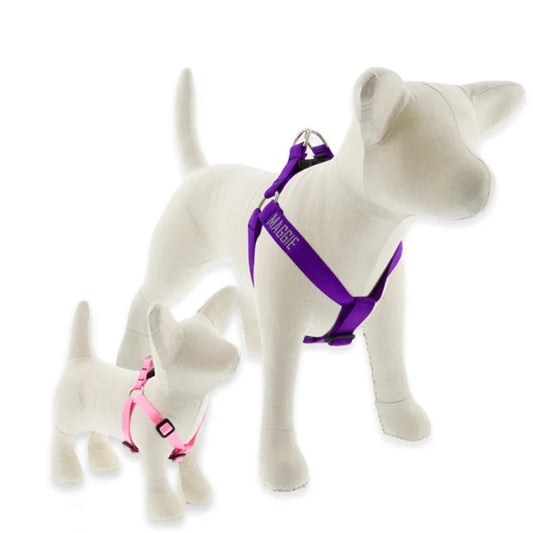 Step In Dog Harness - 3/4” - 20”-30”