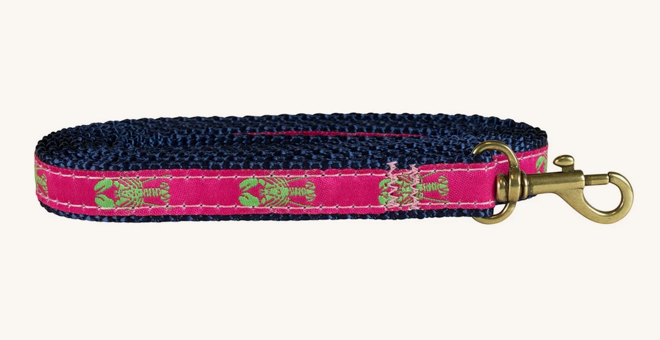 5/8” x 6ft Ribbon Dog Leash – Lobster, Lime Green on Pink