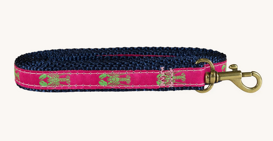 5/8” x 6ft Ribbon Dog Leash – Lobster, Lime Green on Pink