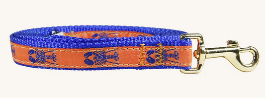 5/8” x 6ft Ribbon Dog Leash – Lobster, Blue on Mango