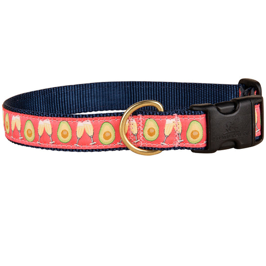 1” Ribbon Dog Collar – Avocado Toast