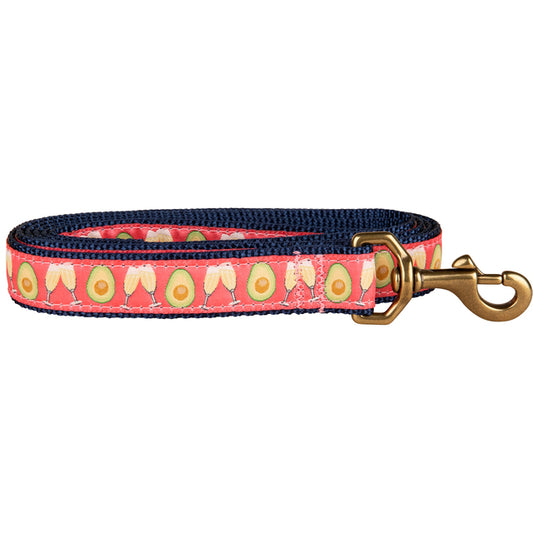 1” x 6ft Ribbon Dog Leash – Avocado Toast