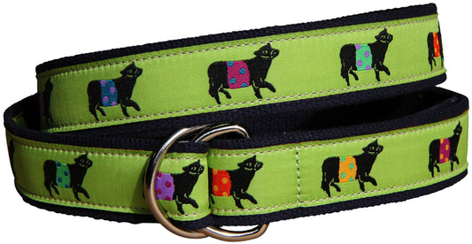 D-Ring Belt - Lime Beltie