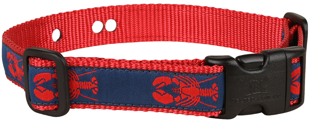 1” Underground Fence Dog Collar - Red Lobster on Navy Blue