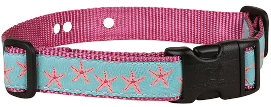 1” Underground Fence Dog Collar - Pink Starfish on Aqua
