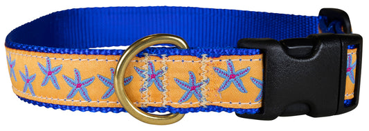 1” Ribbon Dog Collar – Starfish,  Blue on Yellow