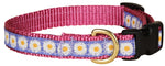 5/8” Ribbon Dog Collar – Daisy Thumbnail