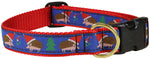 1” Ribbon Dog Collar – Xmas Hedgehog Thumbnail
