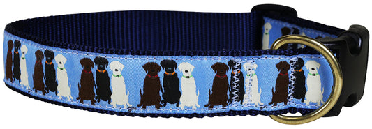 1.25” Ribbon Dog Collar – Three Labs,  Blue