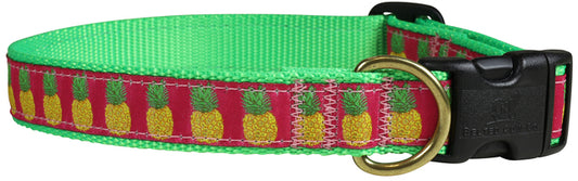 1” Ribbon Dog Collar – Pineapples