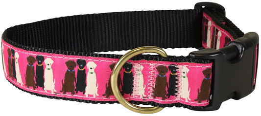 1.25” Ribbon Dog Collar – Three Labs,  Pink