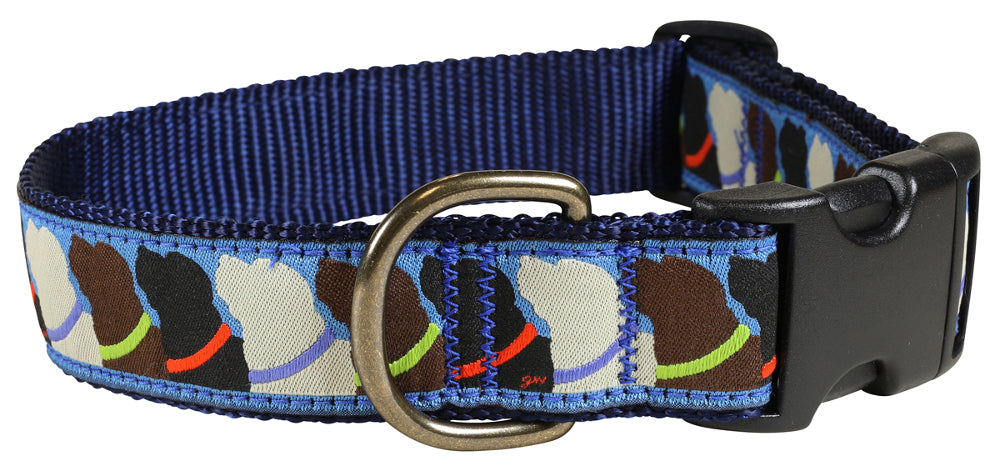 1.25” Ribbon Dog Collar – Who Wants Treats?