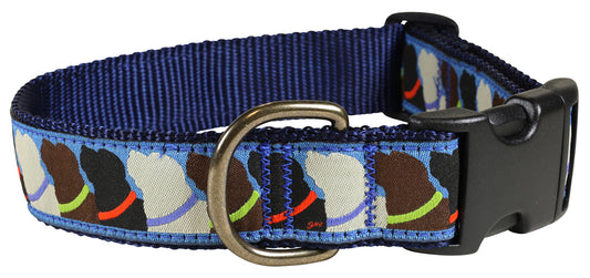 1.25” Ribbon Dog Collar – Who Wants Treats?