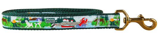 1” x 6ft Ribbon Dog Leash – Vacationland