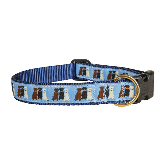 Dog collar with a pattern of Chocolate, Black, and Yellow Labrador Retrievers on a blue background