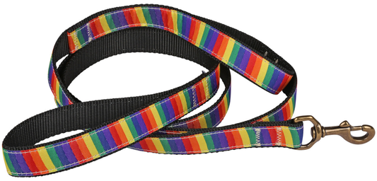 1” x 6ft Traffic Dog Leash – Rainbow