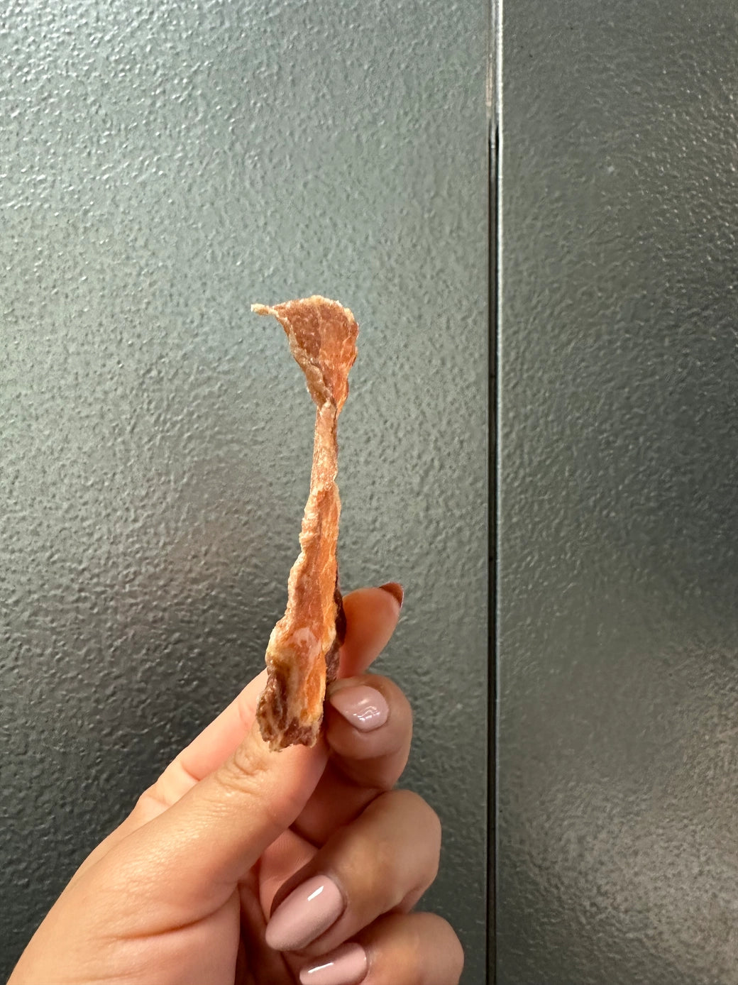 Dehydrated Pork Jerky - Bulk - ea.