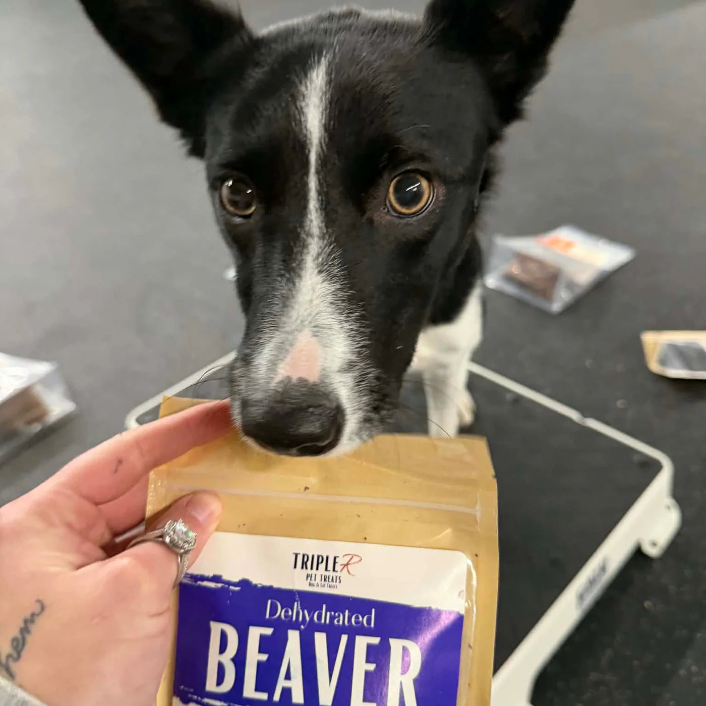 Dehydrated Beaver Dog Treats - 2oz