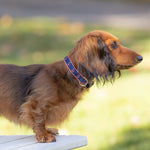 5/8” Ribbon Dog Collar – Anchor,  Pink on Navy Blue Thumbnail