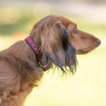 5/8” Ribbon Dog Collar – Buffalo Plaid,  Red Thumbnail