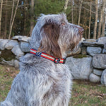 1.25” Ribbon Dog Collar – Retro US Flags Thumbnail
